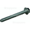 Motor Fixing Screw Crystal