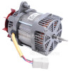 Moteur De Ventilateur Edy