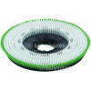 Numatic 550mm Polyscrub Brush