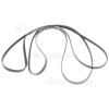 Samsung DV431AEP Poly-Vee Drive Belt - 233J5