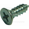 Diplomat Screw : Door Catch Plate