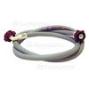 Hot Fill Hose DDY 062-AUS Hoover