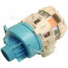 Pompe De Cyclage Oceanic