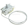 Thermostat Orion