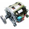 Motor Eurotech