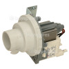 Amica ZIM627UK Drain Pump