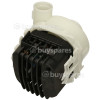 Pompe De Recirculation Arctic