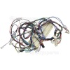 Elektra Bregenz Cable Harness Group