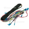 Mora Wiring Harness