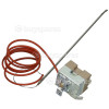 Delonghi Security Thermostat : Campini TY95 303c