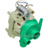 Teka Wash Pump Motor