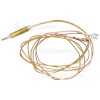 Thermocouple L-1200mm Amica