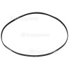 Whirlpool Poly-Vee Drive Belt - 1248J5MA