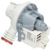 Teka Drain Pump Assembly : Askoll M255 Cod. 15090017510