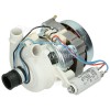 Pompe De Cyclage Du Moteur De Lavage Proset