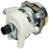 Indesit IDL 40 UK.C Recirculation Pump : Indesco 950F21 180717 Plus Capacitor Sintex 41M.B1AS.4