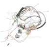 DeLonghi DFS090DO Wiring Harness & Thermostat NT252 FPL 066072 20-275 & 12 Tag Switch 6CH318R0121/10 Switch 5CH158R4920