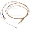 Thermocouple ( F Fast-trk-yb Csl ) With One Tag End / One Ring Fit : 1100mm