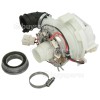 KitchenAid Spray Pump Motor : Hanning CPE16-008 WER P/N W10460996 80W 220V