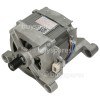 Electrolux EFU361200PI Motor : Welling YXT320-2D (L) 808145002