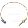 Aspira Thermocouple : 245mm