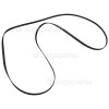 WTA14304W Poly-Vee Drive Belt - 1952H6