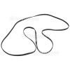 Ariston Poly-Vee Drive Belt - 1991H6EPH