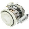 Circulation Pump Assembly