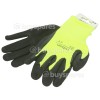 Rolson Schaumlatexbechichtete Handschuhe (M)