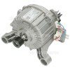 Bosch Motor