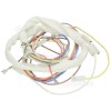 Philips 6489 Wiring Harness