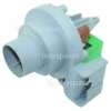 Hoover Drain Pump