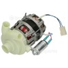 Belling 444445898 Recirculation Pump : Welling YXW50-2F-2 (L) 95W