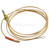 Thermocouple PRO486GGASRO/01 Bertazzoni