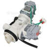 EFS Double Drain Pump & Filter Assembly : 2 Hanyu BP15-6A Pumps