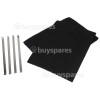 Brandt Carbon Filter Kit : 310x220mm
