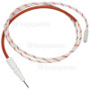 Amica Electrode / Spark Plug With Long Probe : Oven : 900MM