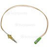 CDA 4Q4SS-0 Burner Thermocouple : 250mm