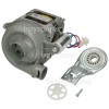 Ahma Recirculation Wash Pump Assembly : Tonlon Motor IC 26225 125w 4uF