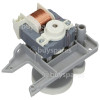 Siemens WT44W360IT/01 Pump Assembly