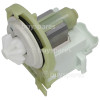 Continental Drain Pump : Dishwasher : 3B EBS 9000077163 120V 44W
