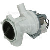 Zanussi Drain Pump Assembly ; Wuxi Haoli PX-2-35 35W