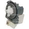 Universal Drain Pump : Hanyu B20-6AZC ( Compatible With ASKOLL M221 Or M50 ) 30W 0. 3A