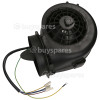 Moteur Pour Hotte Aspirante Complet Caple