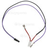 Cable Main To Pump