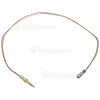 Electrolux Group Triple Crown Burner Thermocouple - 500mm