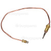 Bluematic Thermocouple - 350mm