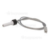 Aspen Spark Plug - 570mm