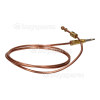 Thermocouple De Gril Kenwood