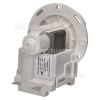 Electrolux Drain Pump (flat Top, Twist On & Screw)) : ASKOL M109 230V 50HZ 15W Or Leili Changzhou BPX2-135